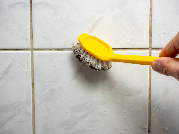 Best Mold Remediation Services  in Penngrove, CA