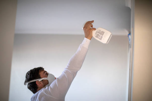 Best Mold Remediation Experts  in Penngrove, CA