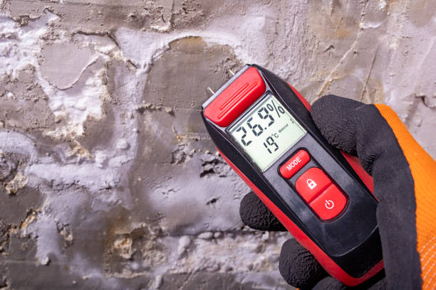 Best Water Damage Restoration  in Penngrove, CA