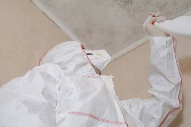 Best Residential Mold Removal  in Penngrove, CA