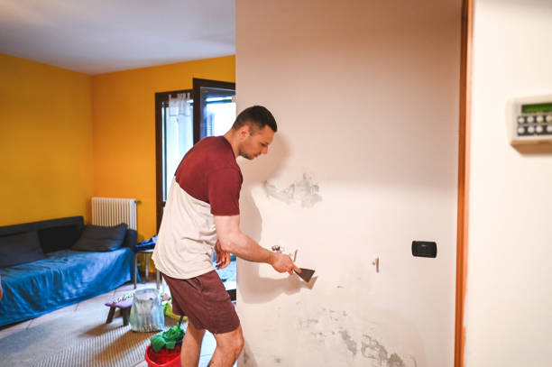 Best Residential Mold Removal  in Penngrove, CA