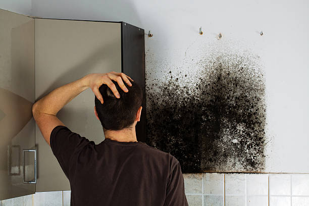Best Crawl Space Mold Removal  in Penngrove, CA